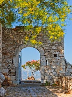 an open door to a stone building with a tree growing out of it