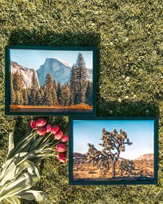 Posters from the Joshua Tree and Yosemite Collections featuring Joshua Trees, mountain landscapes and blue skies.