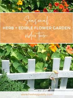 a white picket fence surrounded by flowers and greenery with text overlay that reads seasonal herb edible flower garden video tour