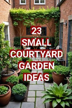 small courtyard garden ideas that are easy to grow