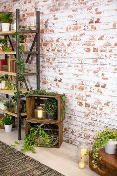 a room with brick walls and plants on shelves next to a wooden shelf filled with potted plants