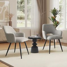 two chairs sitting on top of a rug next to a table with a potted plant