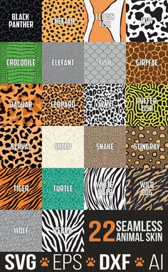 an animal print is shown with different colors