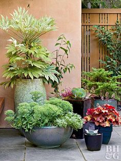 several potted plants sitting on the ground in front of a building