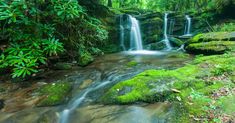 a small waterfall in the middle of a forest filled with lush green plants and rocks