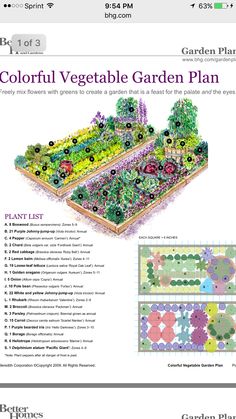 a garden plan with flowers and plants in it