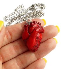 Realistic anatomical heart is a perfect gift for a doctor, paramedic, nurse or medical student.The size of a heart is about 1.3*1 inches (3,2*2,4 cm).The length of the necklace is adjustable from 18 to 21 inches. I can make any other length for your necklace and make а heart into other colors, just contact me before you buy.Material: polymer clay, stainless steel.♥ Anatomical Heart Brooch https://www.etsy.com/listing/655838975/anatomical-heart-brooch-realistic♥ Anatomical Heart Earrings https:// Red Heart Necklace With Lobster Clasp, Red Heart-shaped Novelty Jewelry, Red Heart Necklace With Lobster Clasp As Gift, Red Heart Necklace With Lobster Clasp For Gift, Red Heart Jewelry, Clay Business, Anatomical Heart Necklace, Medical Student Gift, Anatomical Heart