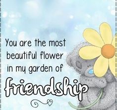 a teddy bear holding a flower with the words, you are the most beautiful flower in my garden of friendship