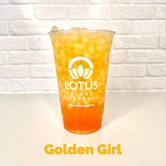 Golden Girls was one of the greatest shows in our lifetime. Paying tribute to the most amazing and hilarious show, featuring 4 of the most iconic women on air, we give you the Golden Girl Lotus Energy Drink. Featured Recipe for 20oz: 👩 Golden Girl: 1 1/2 oz Gold Lotus 1/2 oz Watermelon 1/2 oz Cantaloupe Gold Lotus Recipes, Gold Lotus Energy Drink Recipes, Cabin Drinks, Lotus Energy Drink Ideas, Lotus Energy Drinks, Lotus Recipes