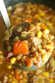 a spoon full of soup with beans and carrots