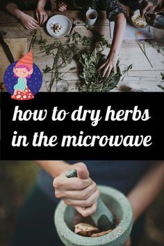 people sitting at a table with plants and herbs in their hands text overlay reads how to dry herbs in the microwave