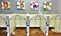 four dogs are in their kennels with pictures on the wall