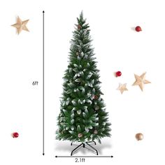 a christmas tree is shown with ornaments around it and on the floor next to stars