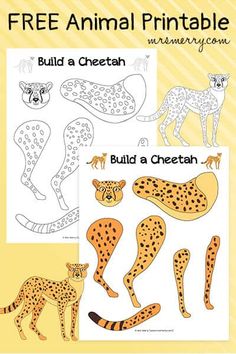 the cheetah is an animal that can be used to teach children how to draw