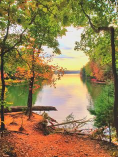 the sun is shining through the trees over the water