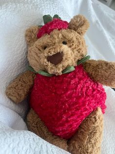 a brown teddy bear wearing a red shirt