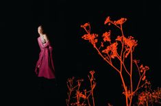 a woman in a pink dress standing on top of a hill next to tall plants