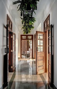 an open door leading to another room with plants hanging from the ceiling and doors on either side