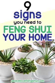 three potted plants with the words 9 signs you should feng shut your home