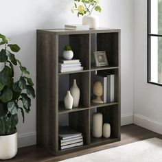 a shelf with books and vases on it in front of a window next to a potted plant