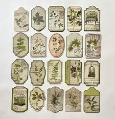 a bunch of tags that have plants on them