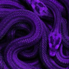 purple snake skin with skulls on it