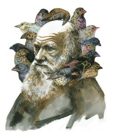 an old man with many birds on his shoulder