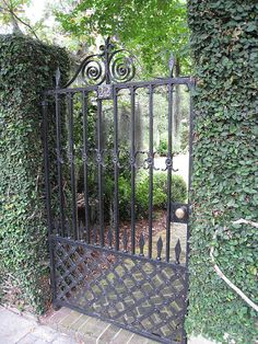 an iron gate is surrounded by ivy