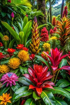 colorful tropical plants and flowers in the jungle