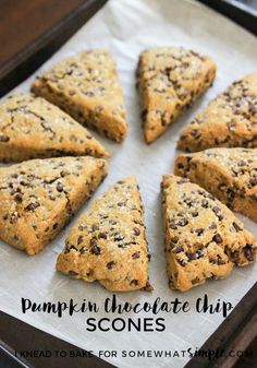 pumpkin chocolate chip scones on a baking sheet with text overlay that says pumpkin chocolate chip scones