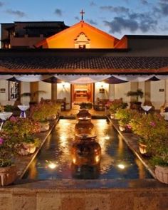 an outdoor area with potted plants and flowers on the ground at night, lit up by lights