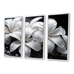 three white flowers with water droplets on them are shown in this set of three canvases