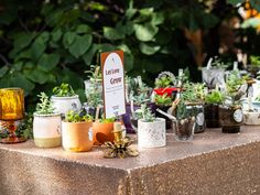 a table topped with lots of potted plants