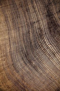 an image of wood textured with natural patterns