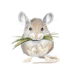 a watercolor painting of a mouse with grass in it's mouth and eyes