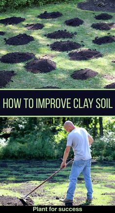 mounds of loam on a lawn and a man raking them in How To Improve Clay Soil, Plants Clay Soil, How To Prepare Soil For Planting, Soil Amendments For Clay Soil, Lawn Renovation, Clay Soil Plants