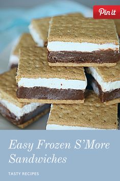 the cover of an easy to make recipe for frozen s'more sandwiches