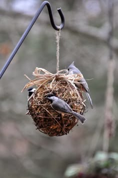 a bird sitting on top of a nest hanging from a metal pole with a hook