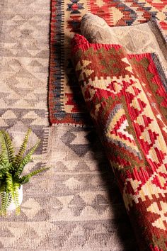 a potted plant sitting on top of a rug