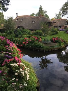 the house is surrounded by beautiful flowers and greenery on both sides of the river