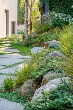 a stone path with grass and rocks on either side, leading to a building in the background