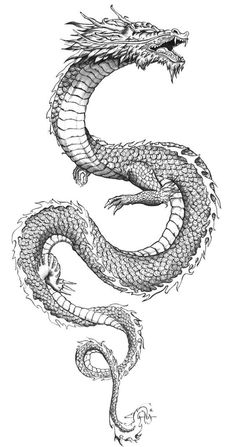 a black and white drawing of a dragon with its head in the shape of a snake