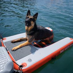 a dog sitting on top of an inflatable boat