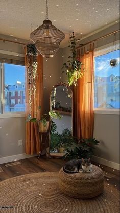 Plant In Corner Living Room, Vintage Contemporary Decor Living Room, Hawaii Room, Eclectic Boho Living Room, Cozy Maximalism, Whimsy Decor, Girly House, Women Cave, Apartment Cozy