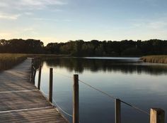 a wooden dock sitting on the side of a lake