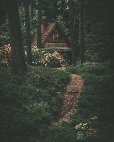 a small cabin in the woods surrounded by trees and flowers with a path leading to it