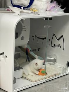 a white cat laying on top of a bed next to a stuffed animal in a case