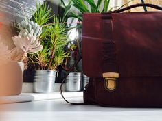 In love with nature in the photo. Sunlight, healthy plants, 100% leather satchel with 100% cotton lining Leather Holdall, Ladies Footwear, Ladies Bags, Leather Backpacks, Womens Handbags, Leather Duffle, Women Shoes Online, Leather Detail, Patchwork Bags