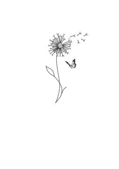 a black and white drawing of a dandelion with two butterflies flying around it