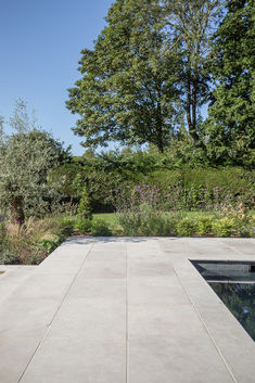 an empty concrete patio surrounded by trees and bushes, with a pool in the foreground